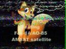 An SSTV image reported to have been received via AO-85 by Roland Zurmely, PY4ZBZ, on December 13.